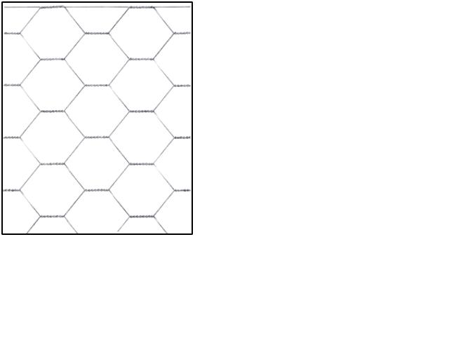 Mreža za piščance Trefort 500 mm x 25 m (25 mm)