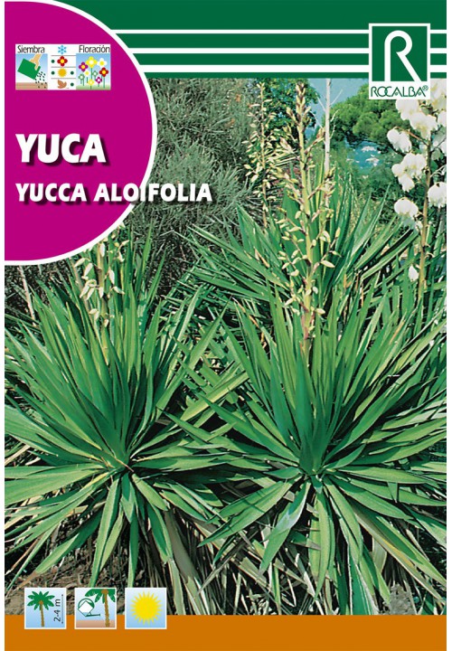 Juka (Yucca aloifolia) Rocalba 0,2 g