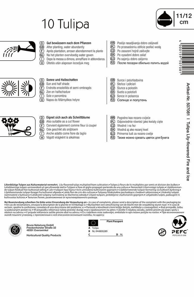 Žarnice Tulipan mešanica ogenj in led Kiepenkerl 10 kosov