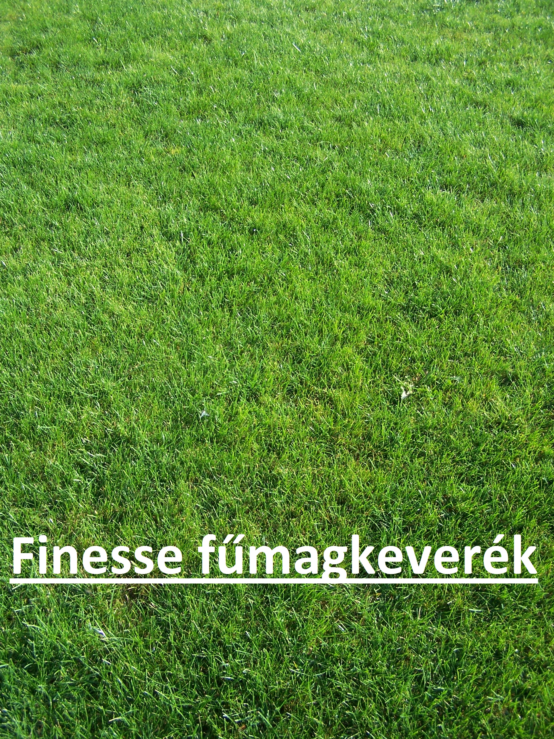 ICL seme trave Finesse (vrsta trate) 10 kg