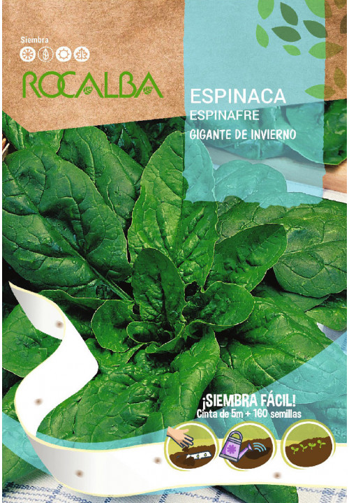 Špinača trak za semena Gigante de Invirno Rocalba 200 semen 5 m