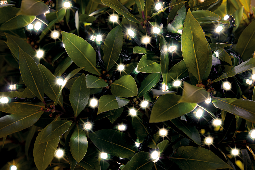 Festoon Gardman, 100 Led, toplo bela 11,89 m