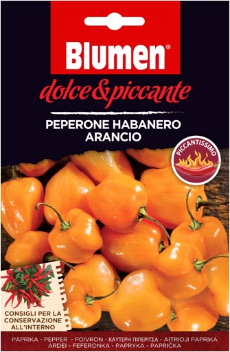 Oranžna paprika habanero - zelo pekoča Cvetovi (približno 10-20 semen)