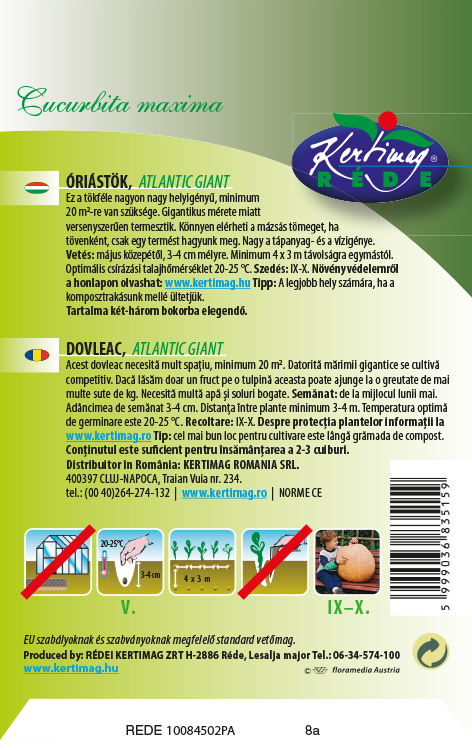 Atlantska orjaška buča 6 g