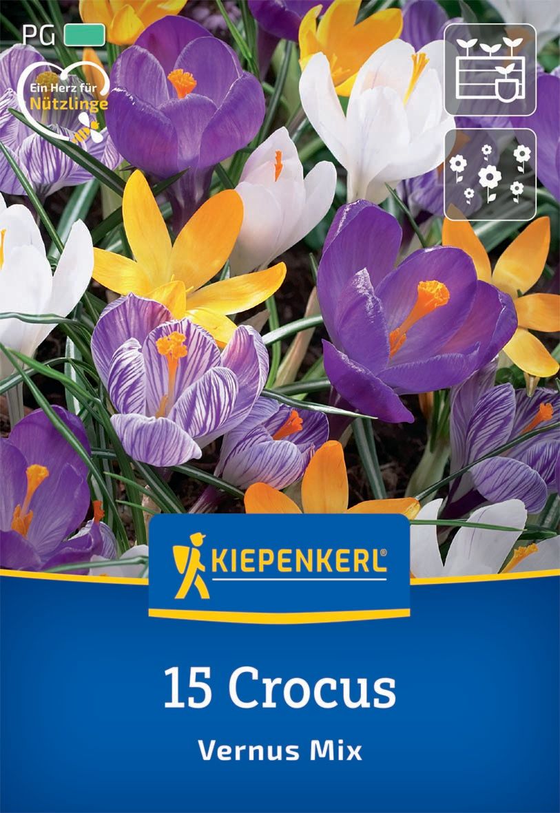 Virághagyma Krókusz Vernus Mix Kiepenkerl 15 db