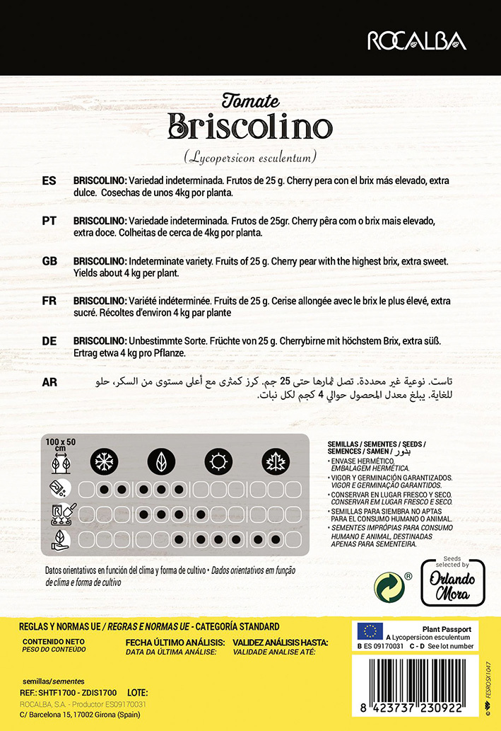 Češnjev paradižnik Briscolino (kmet) Rocalba 8 zrn
