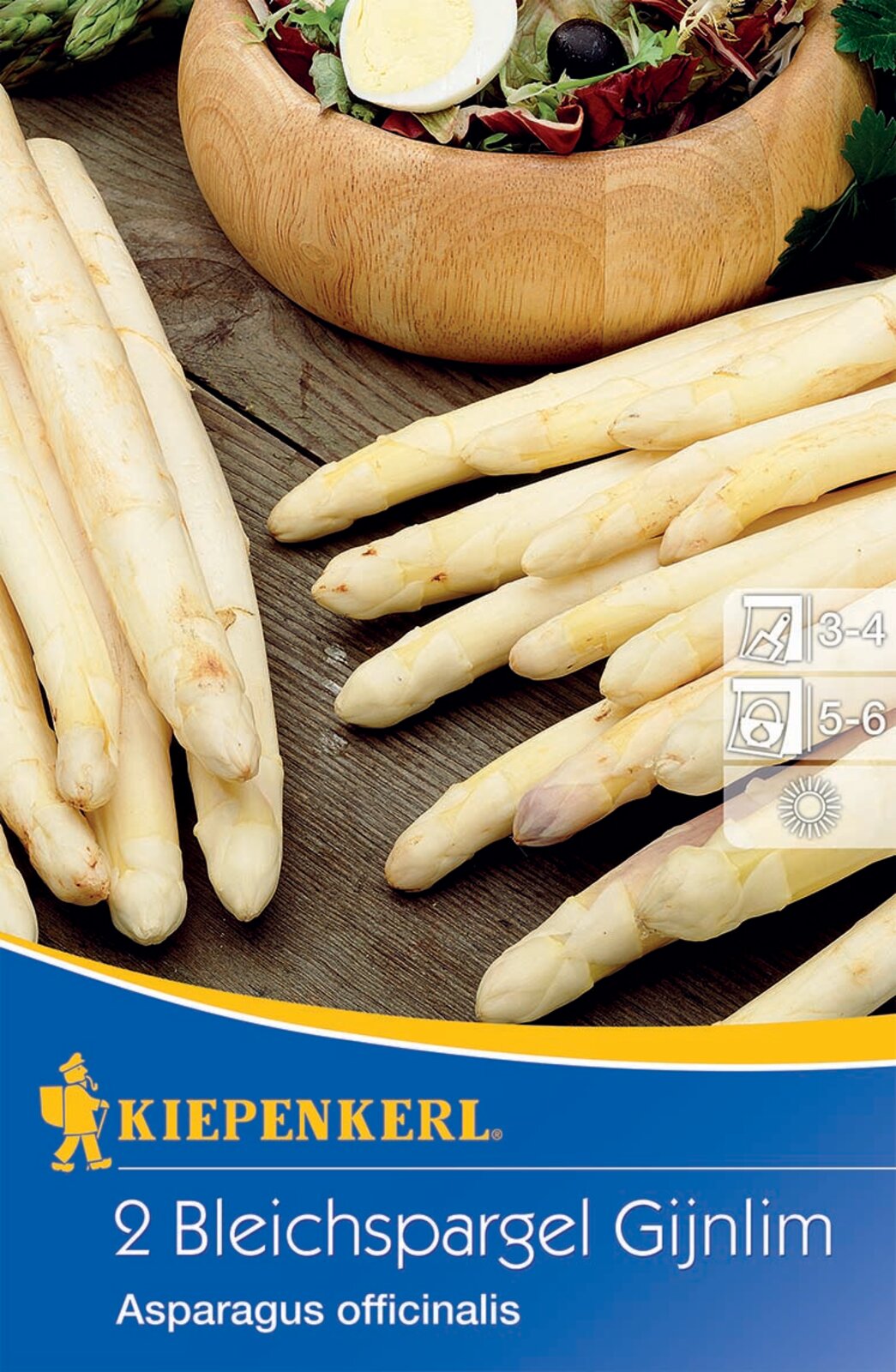 Beli šparglji Gijnlim Kiepenkerl 2 rastlini