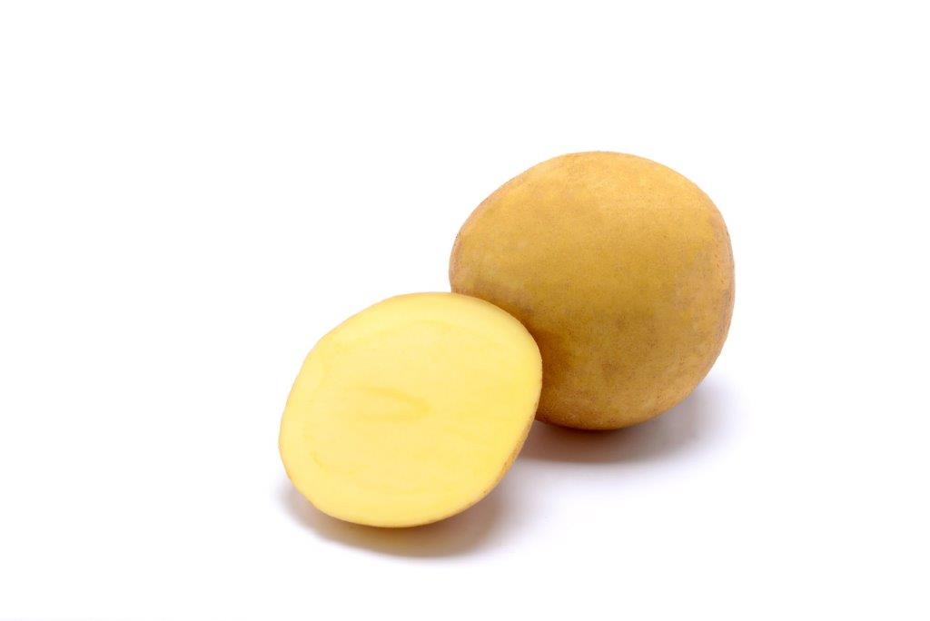 Potato seed tuber for making potato chips "Sorentina" 50 pcs
