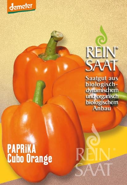 Paprika organska Cubo Orange Čista semena približno 30 semen