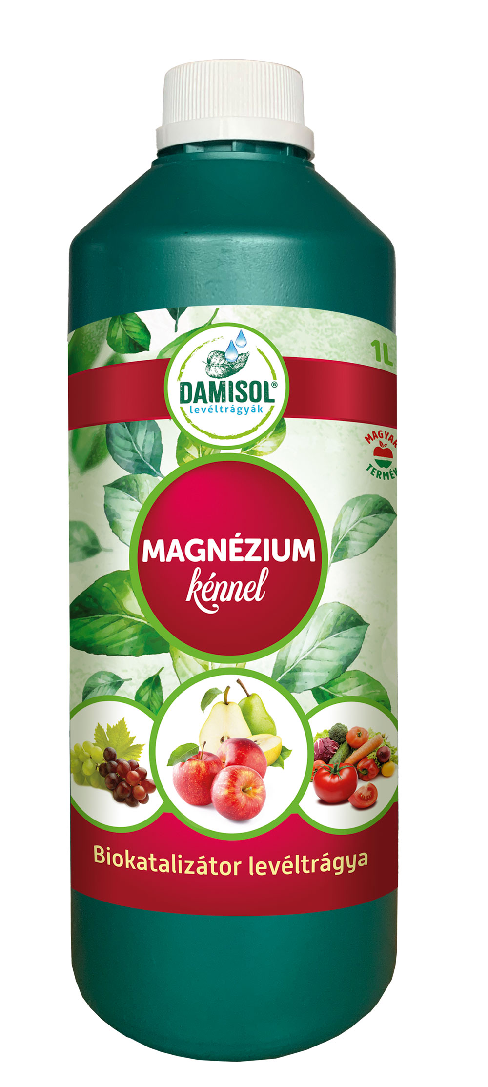 Damisol Magnezij 1 l