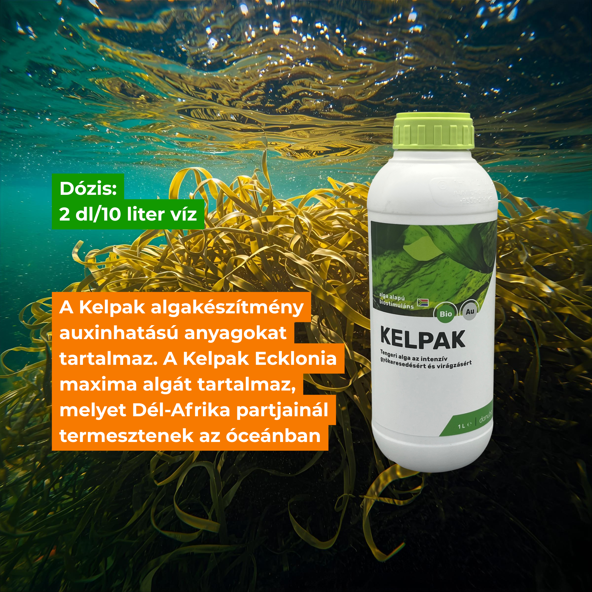 Kelpak 1 l Kelpak 1 l