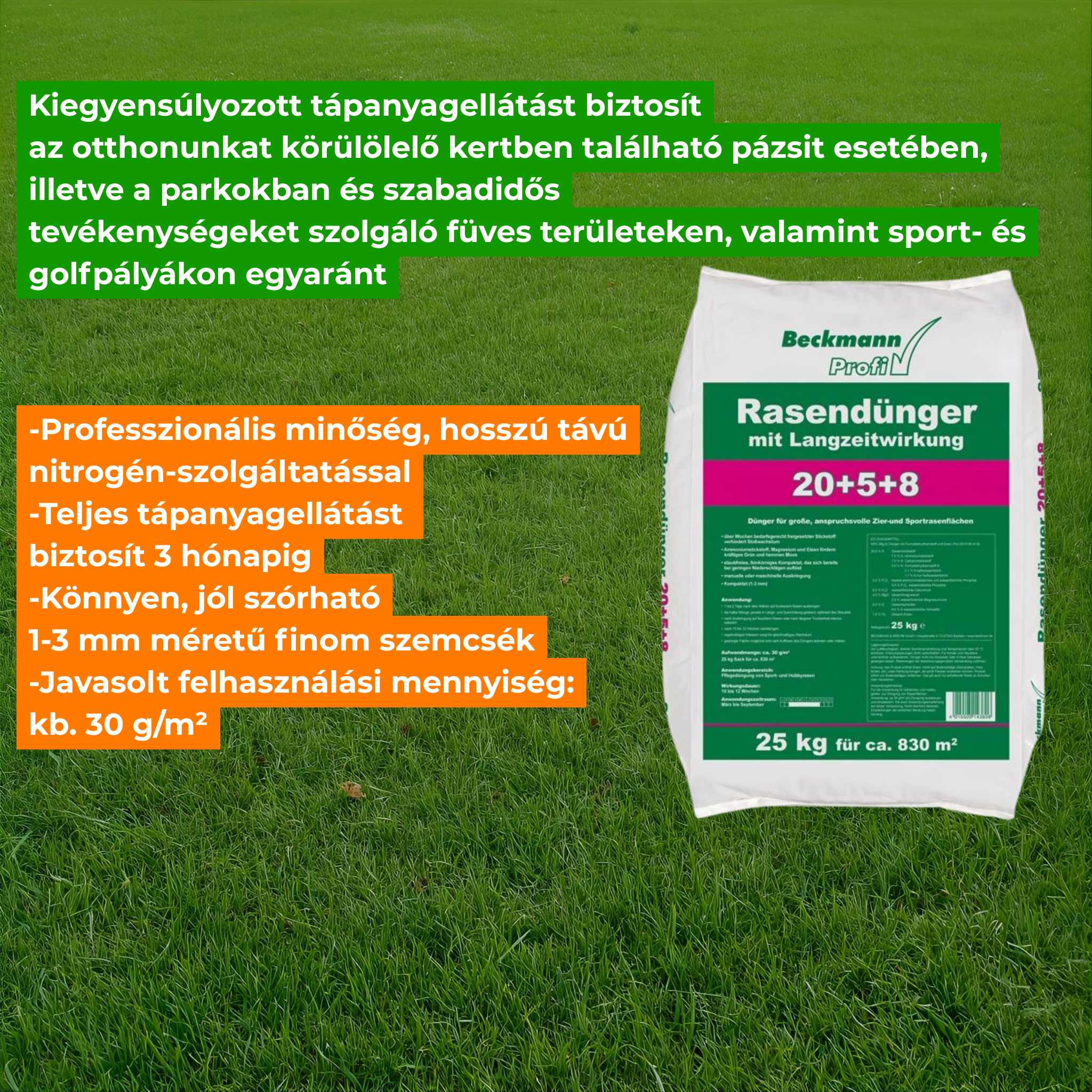 Beckmann long lasting maintenance lawn manure 20-5-8 25kg