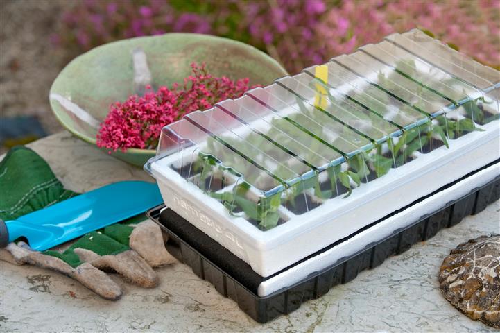 Propagator set (germination) with roof