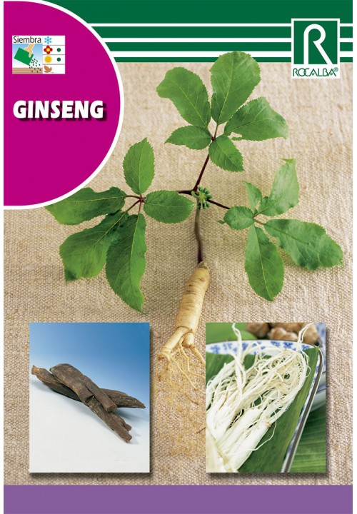 Ginseng Rocalba 4 zrna