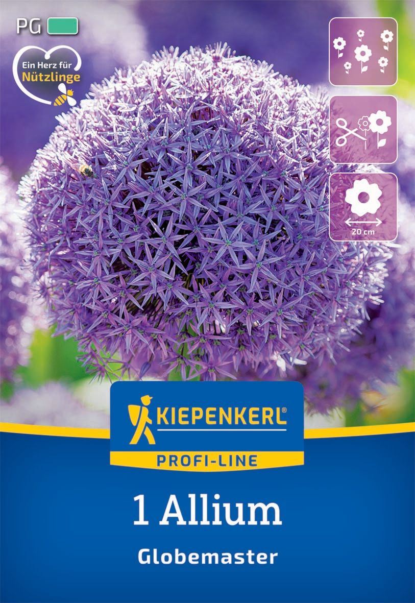 Virághagyma Díszhagyma Globemaster Kiepenkerl 1 db