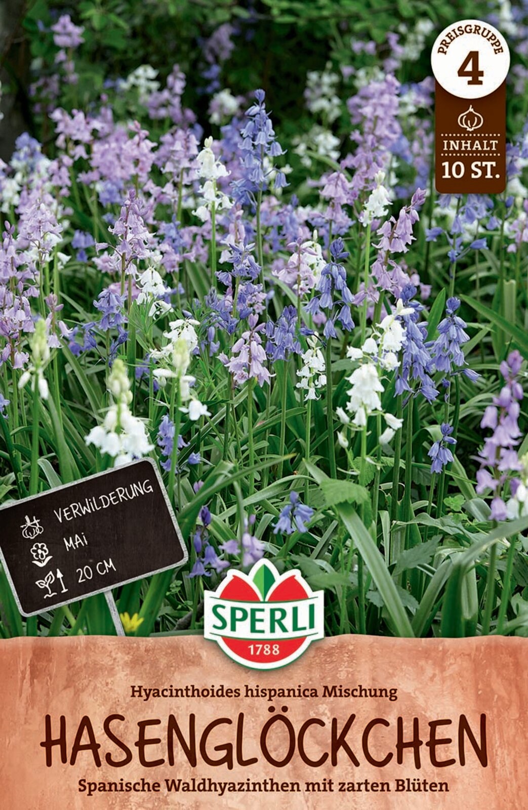 Bulb Spanish bluebell colour mix 10 pcs Sperli