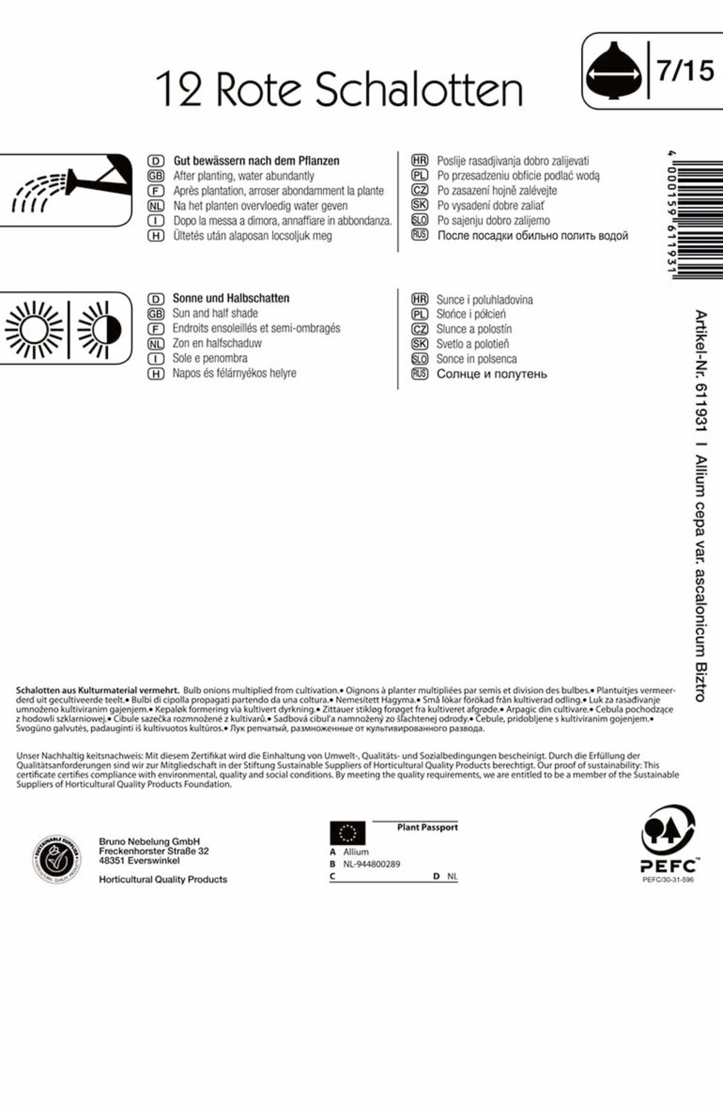 Dugh Čebula Šalotka Biztro (vijolična) Kiepenkerl 10 kosov