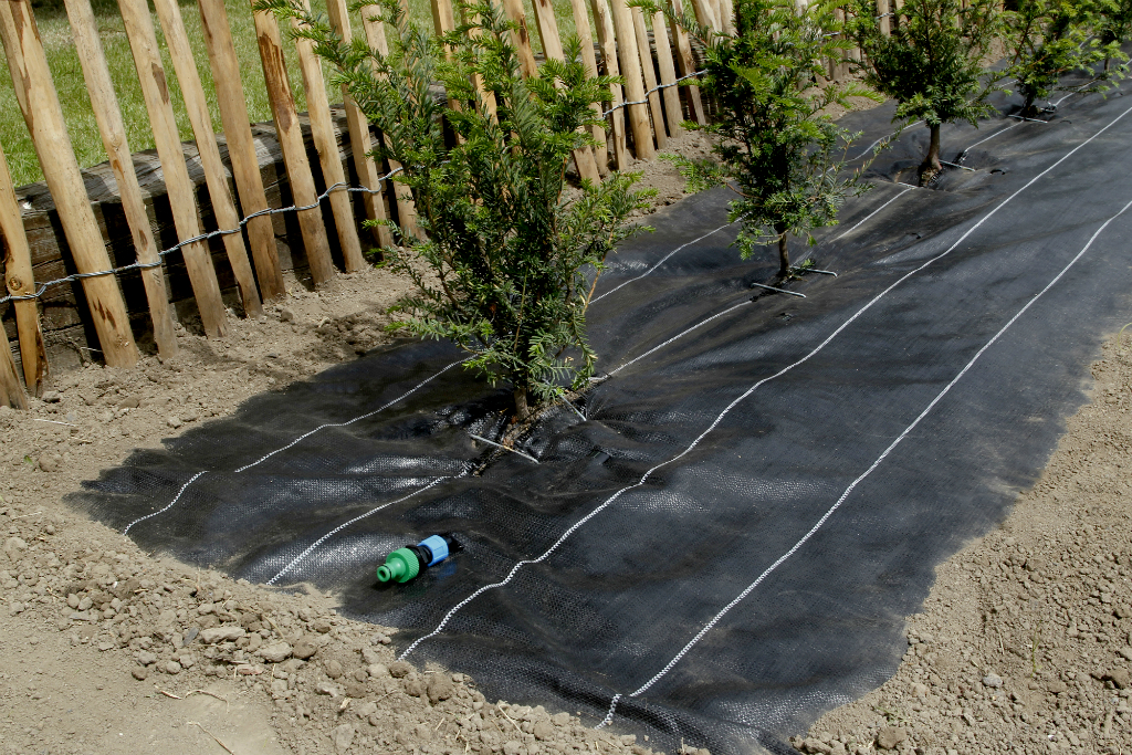 Agro fabric with integrated drip hoses Watersol 1,25x10 m