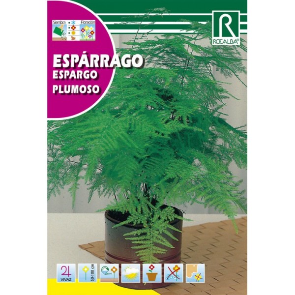 Asparagus 0,5g Rocalba