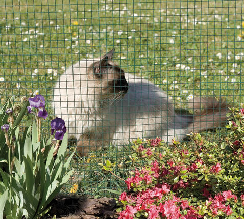 Mreža za perutnino s plastično prevleko Premium Fensanet Plast 19 0,5x5m (19x19x0,7/1,1mm)