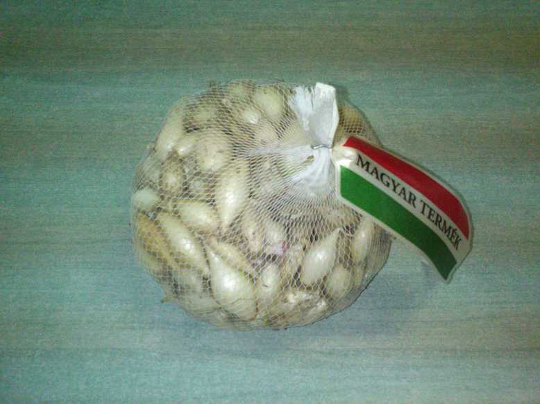 Čebula Bela čebula jesen 300 g