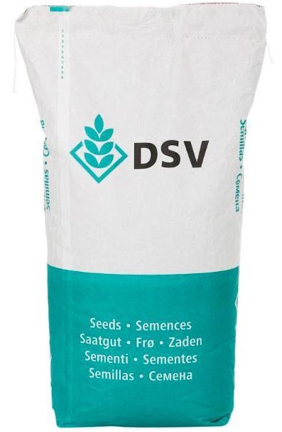 Travno seme DSV Speed Green za naknadno setev 10 kg