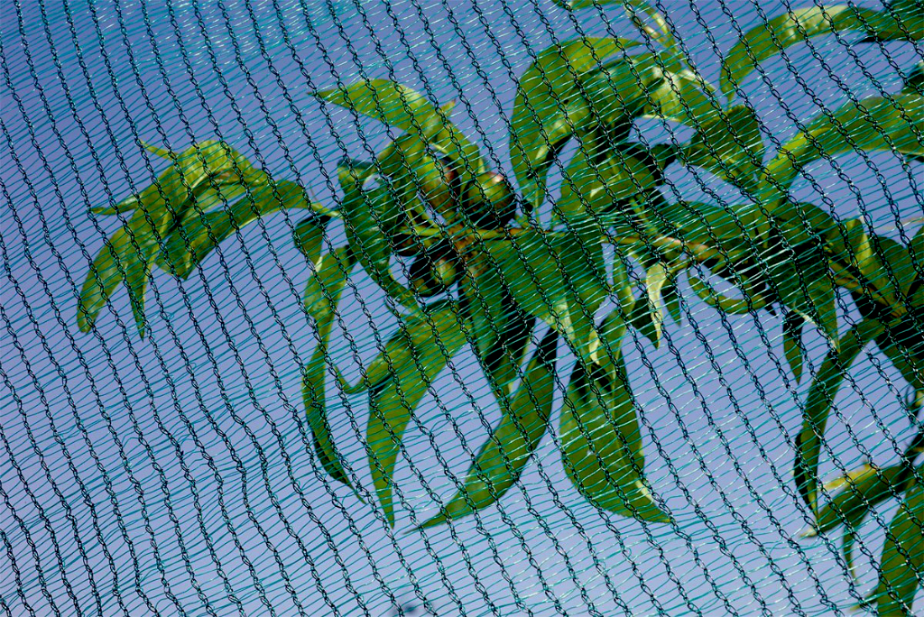 Hailnet 2x10m (7x6 mm)