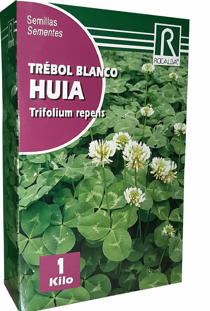 Bela detelja 1000g Rocalba