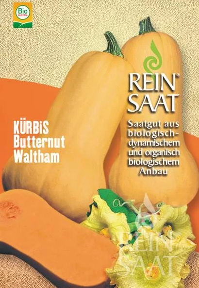 Organska buča Waltham Rein Seed 8 semen