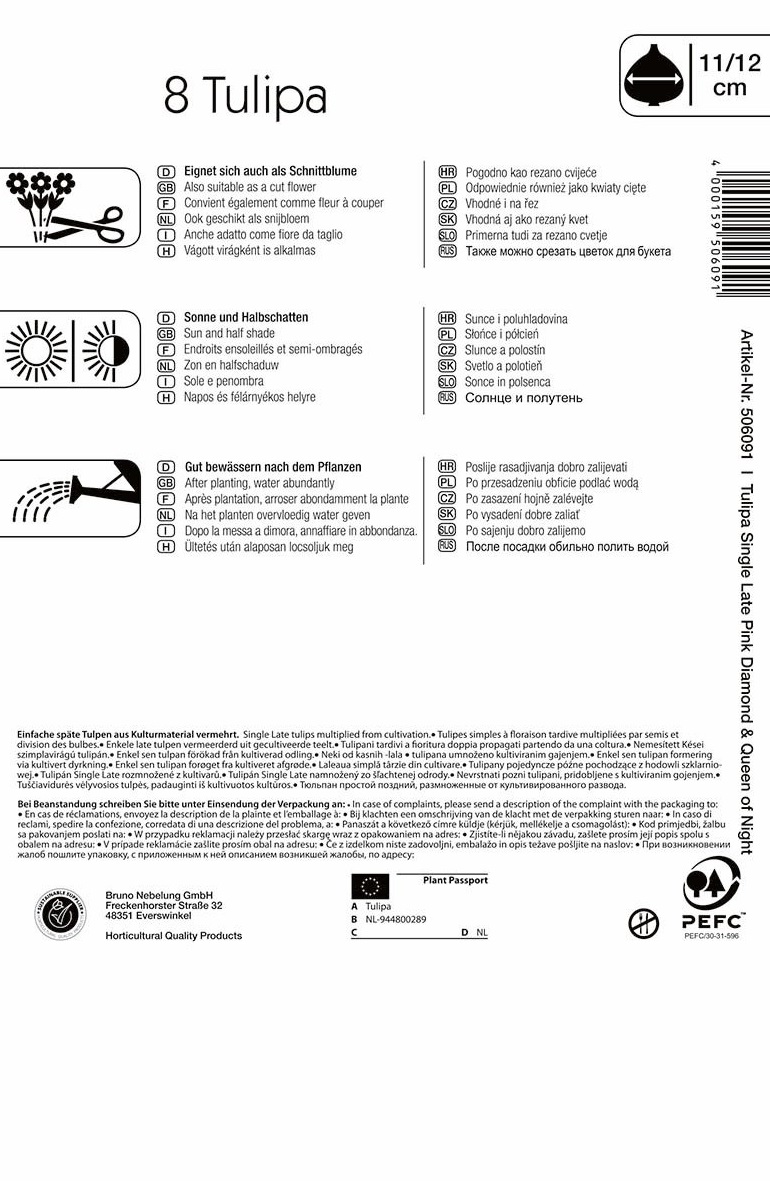 Žarnice Tulipan Duo Candy Friends 8 kosov