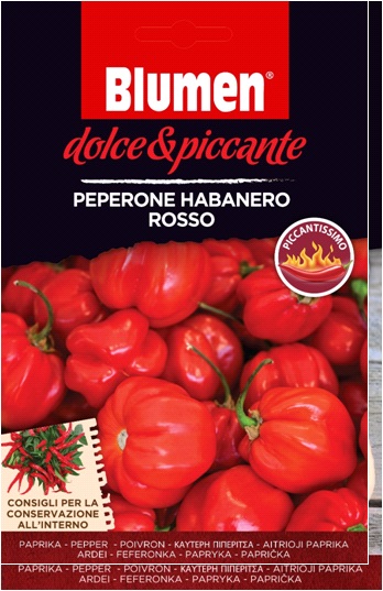 Rdeča paprika habanero - izjemno pekoča Cvet (približno 10-20 semen)