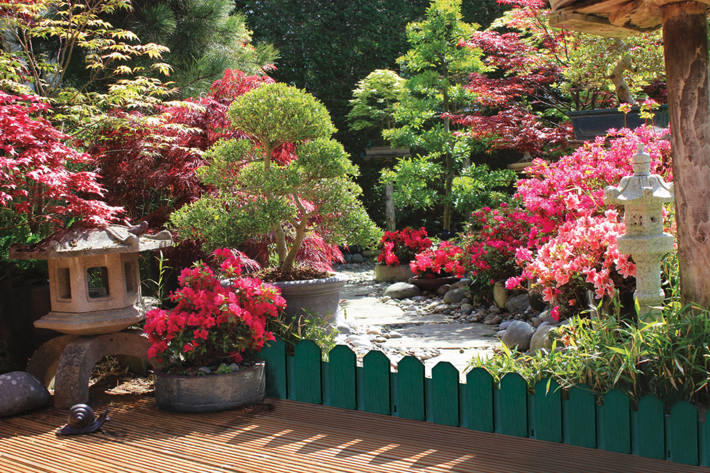 Plastični robovi za posteljo, zeleni Sierra rob 0,2x0,8 m 4 kosi/paket