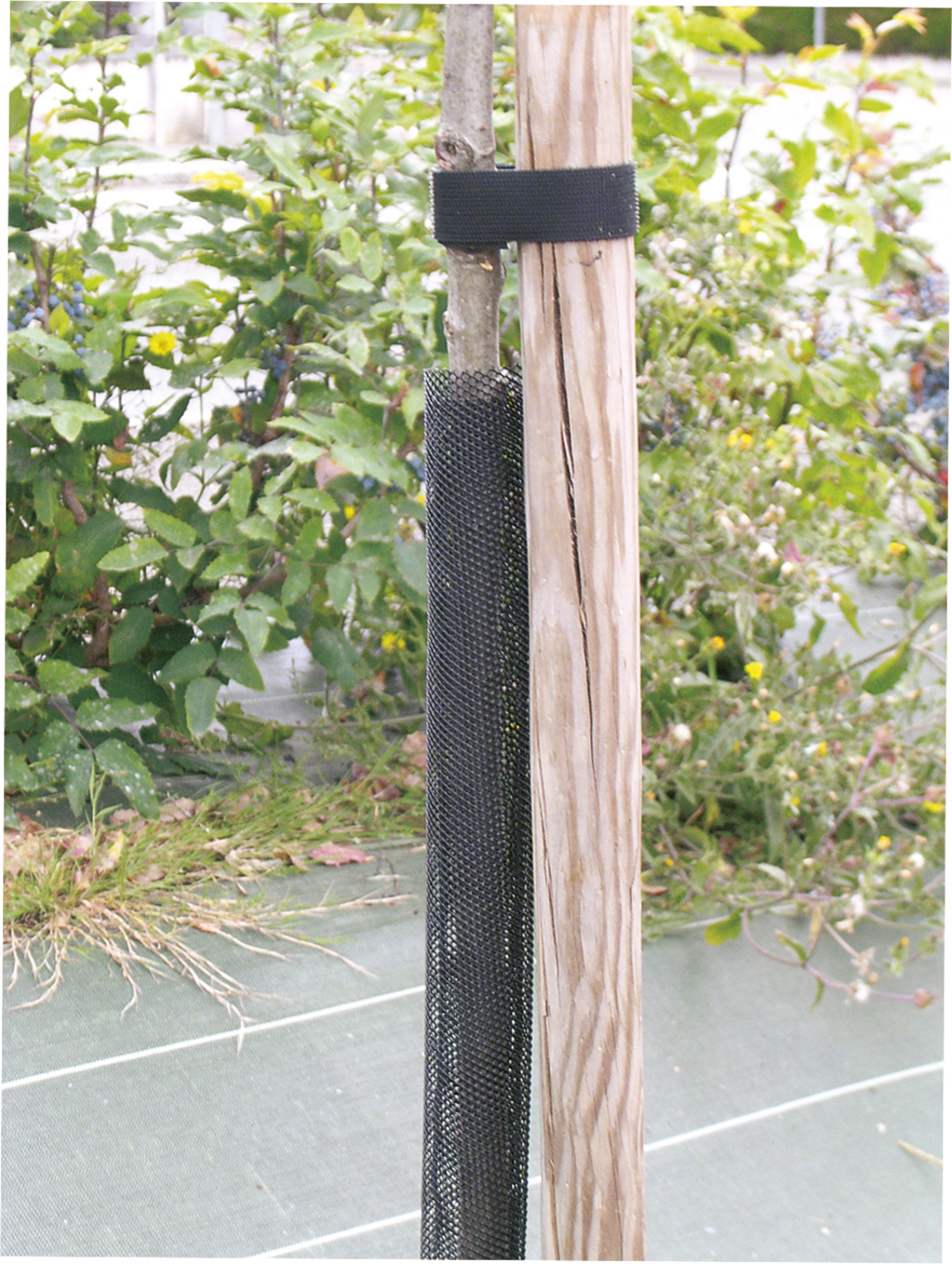 Mreža za zaščito dreves Treex črna 110 cm (premer 6 cm)