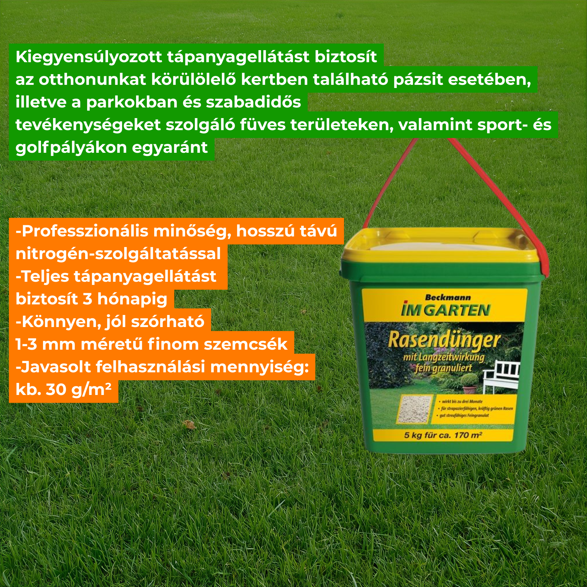 Beckmann long lasting maintenance lawn manure 20-5-8 5kg