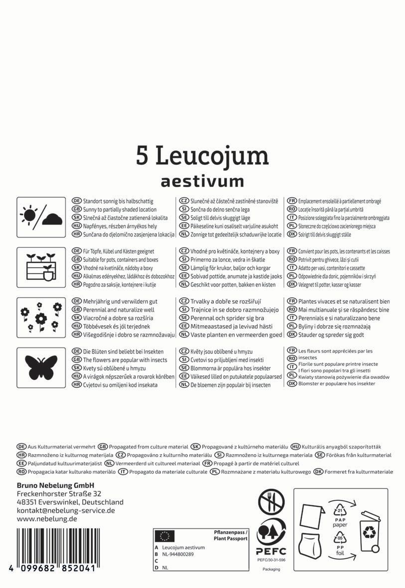 Čebulica spomladanskega graha (Leucojum aestivum) Kiepenkerl 5 kosov