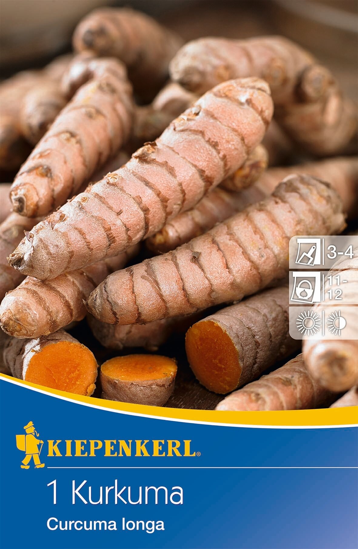 Kurkuma (korenina) Kiepenkerl 1 kos