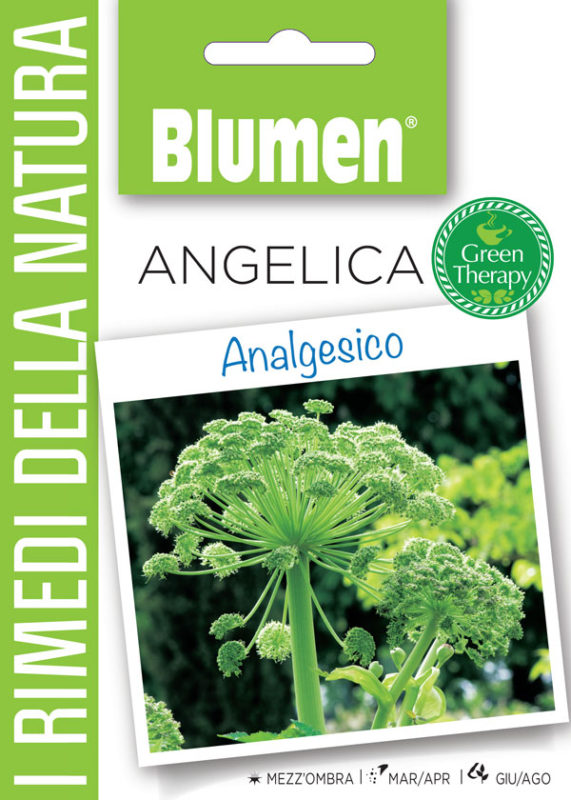 Angelica Wellness za naravo 3g