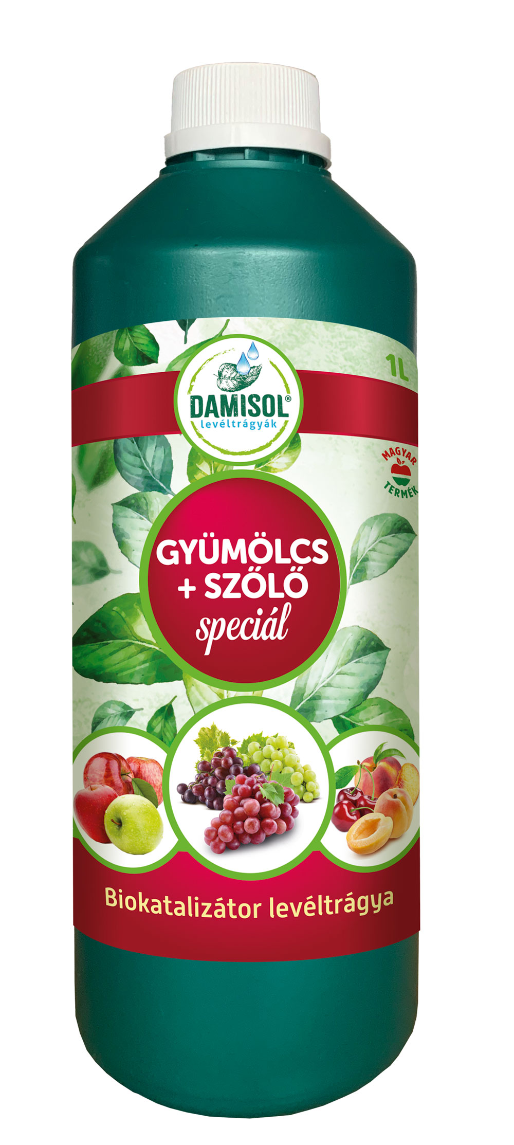 Damisol sadje in grozdje Special 1 l