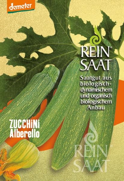 Bučke bio Alberello Pure Seed približno 10 semen