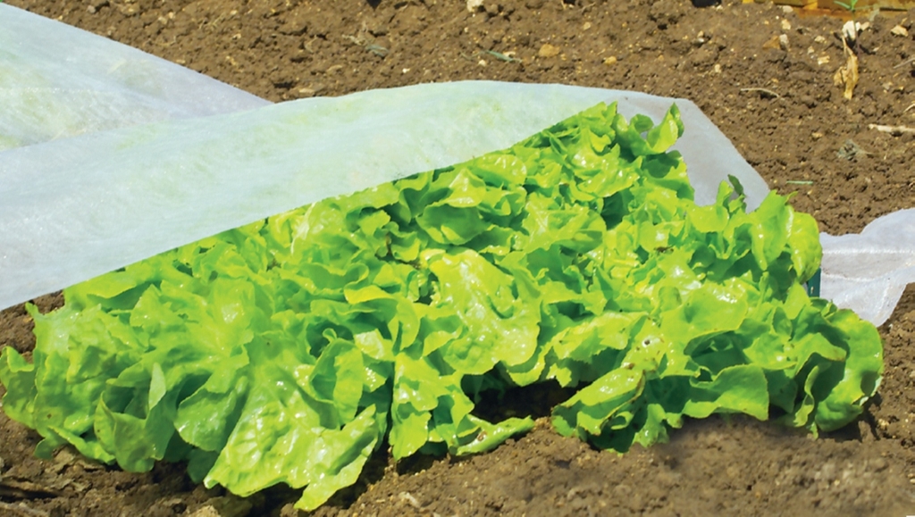Veiling film Climatic 1,6x5 m 17gr/m2