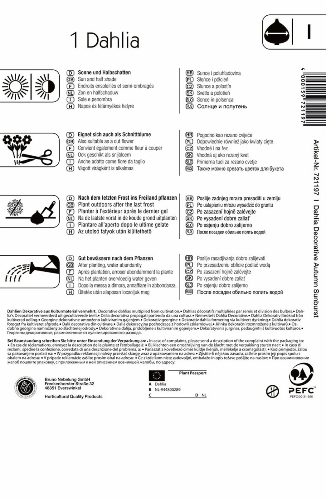 Flower bulb Dahlia Autumn Sunburst (red-yellow-orange) Kiepenkerl 1 pc