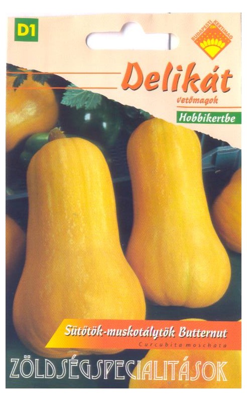 Buča Butternut BK 1 g