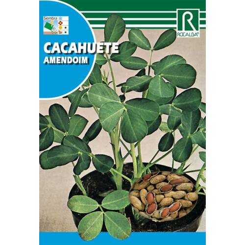 Arašidi (Cacahuete amendoim) 10g Rocalba