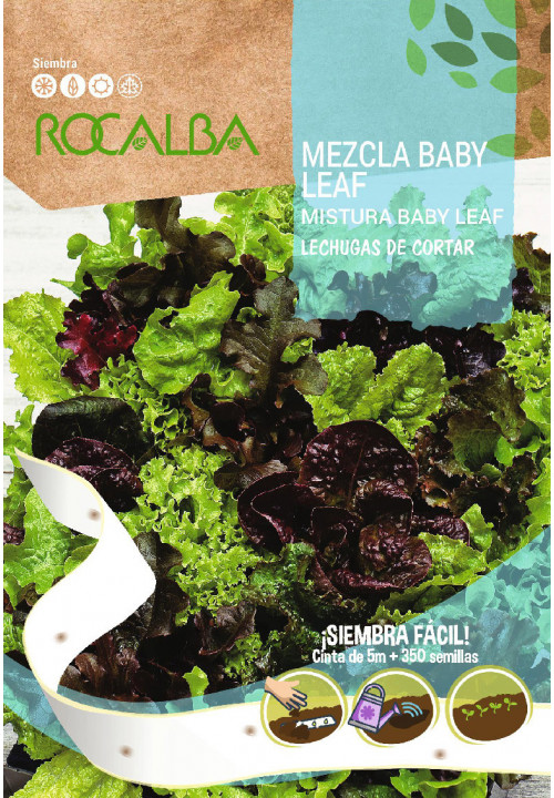 Solata Baby Leaf de Cortar Rocalba 350 semen 5 m