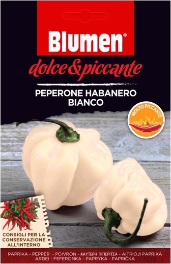 Bela paprika habanero Blumen - zelo pekoča Blumen (približno 10-20 semen)