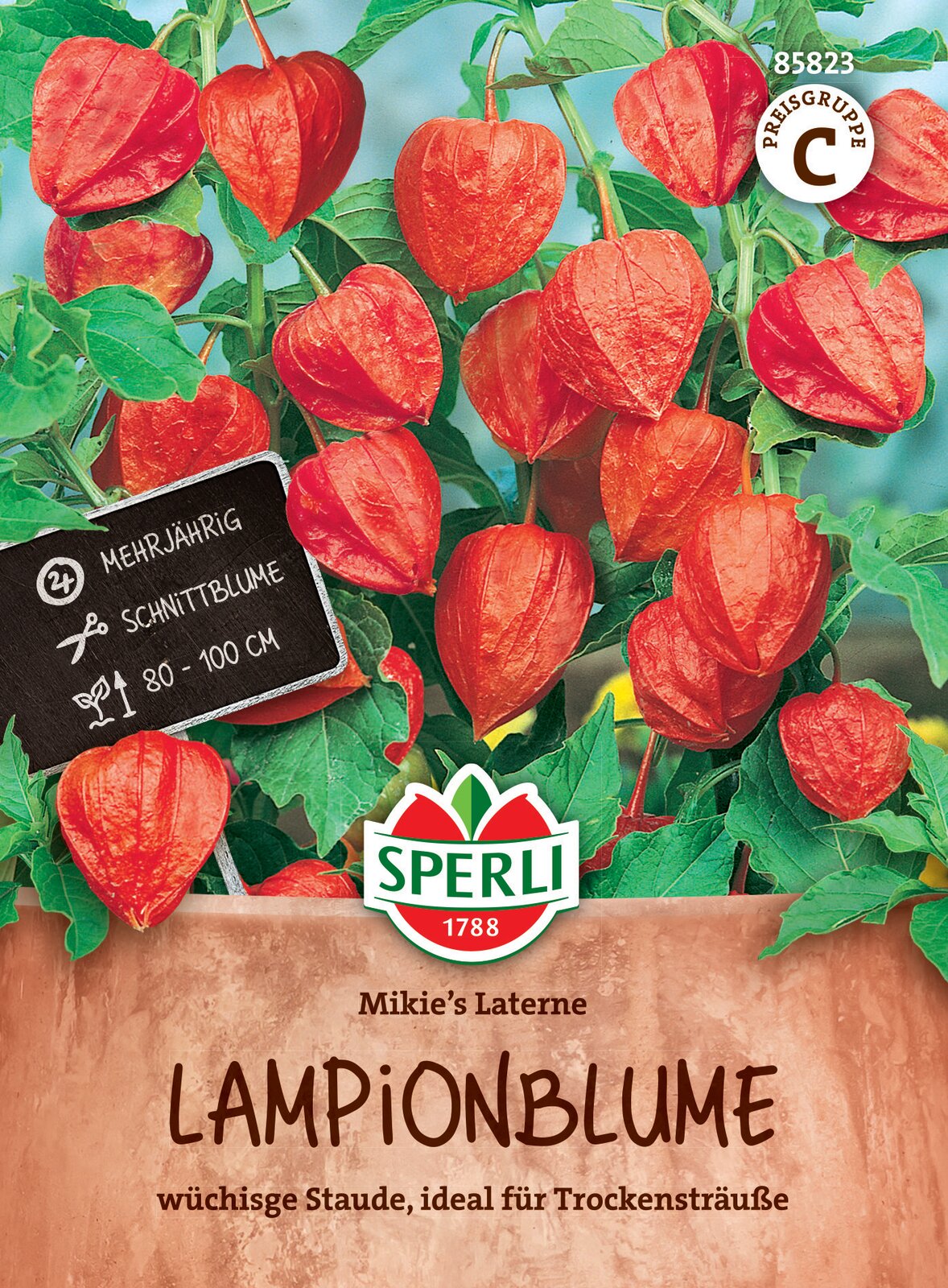 Lanternflower Mikie's Laterne 70 semen Sperli