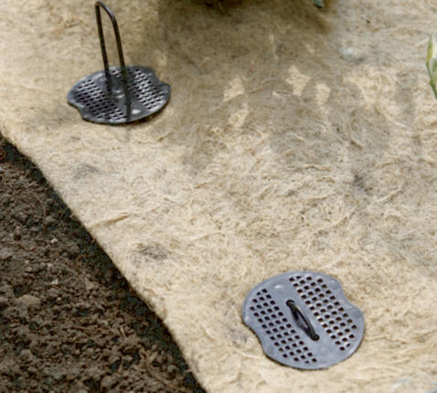 Komplet za luknjanje (trn + blazinica) Terrafix 10 kosov
