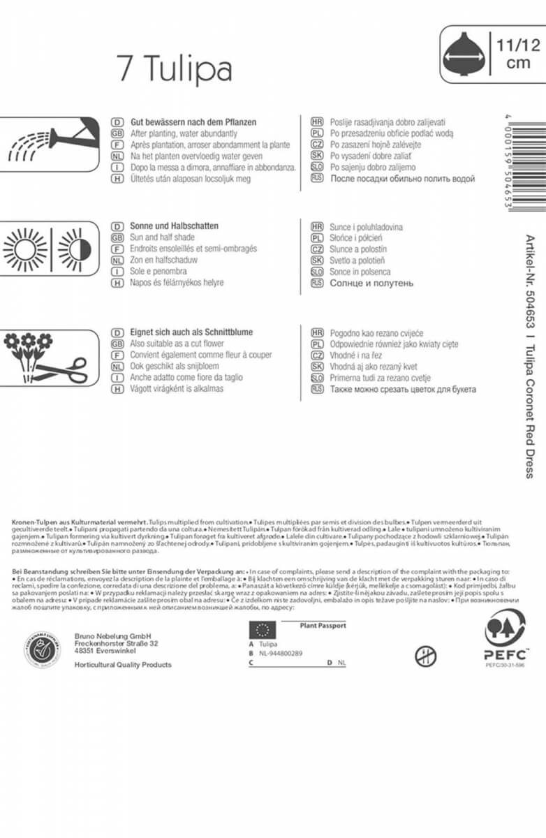 Cvetlična žarnica Tulipan Rdeča obleka 7 kosov Kiepenkerl