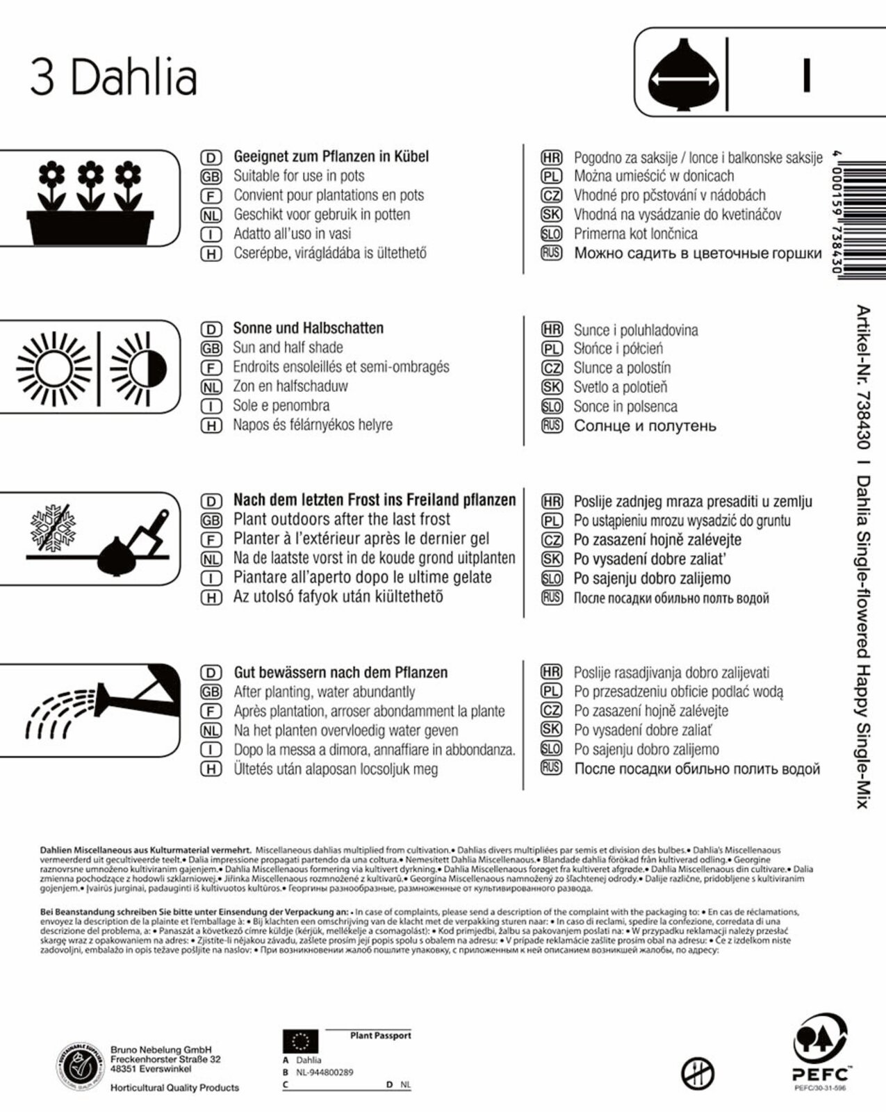 Žarnica Dahlia Posteljnina Dahlia Srečno Enotna mešanica Kiepenkerl 3 kosi