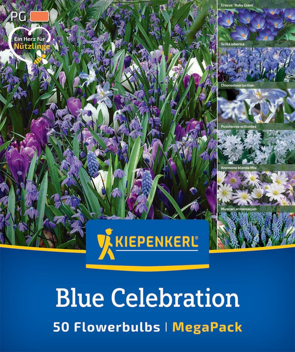 Virághagyma keverék Blue Celebration Kiepenkerl 50 db
